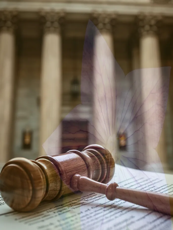 개인회생과 워크아웃 비교